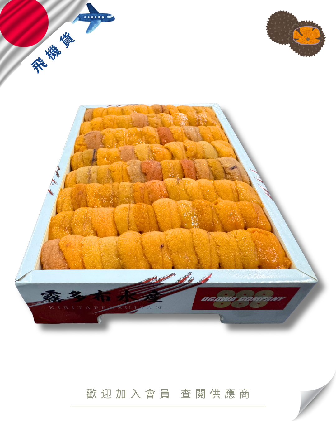 E101 - 日本 霧多布水產 カンパニー 888 馬糞海膽 250g