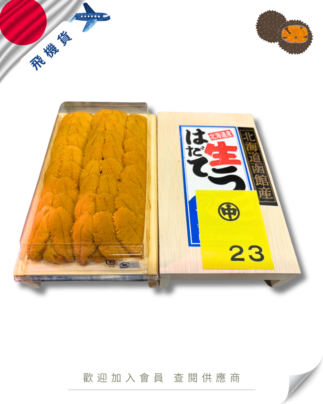 E101 - 日本 羽立 白海膽 300g (拍賣級-帶番號)