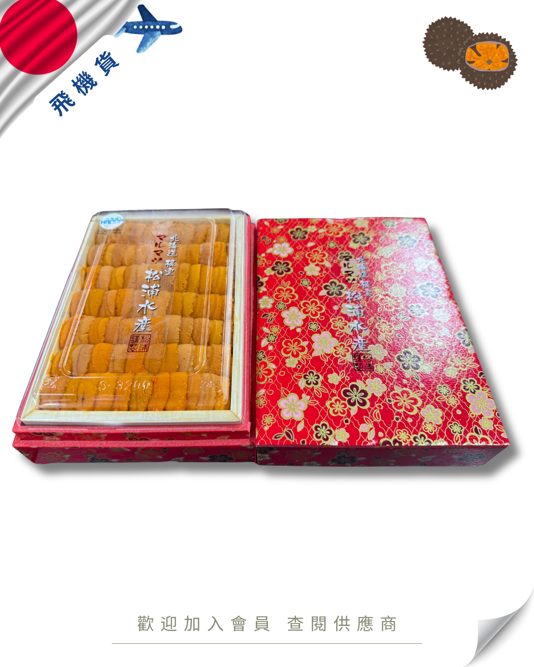 E101 - 日本 松浦水產 馬糞海膽 250g (花箱)