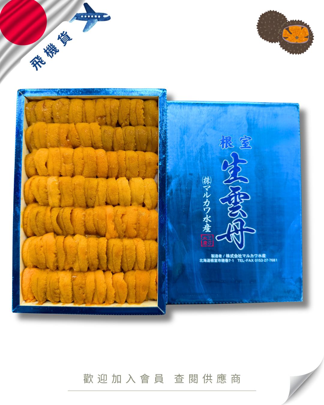 E101 - 日本 丸川 マルカワ 馬糞海膽 250g (花箱)