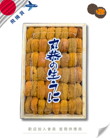 E101 - 日本 丸恭 馬糞海膽 250g