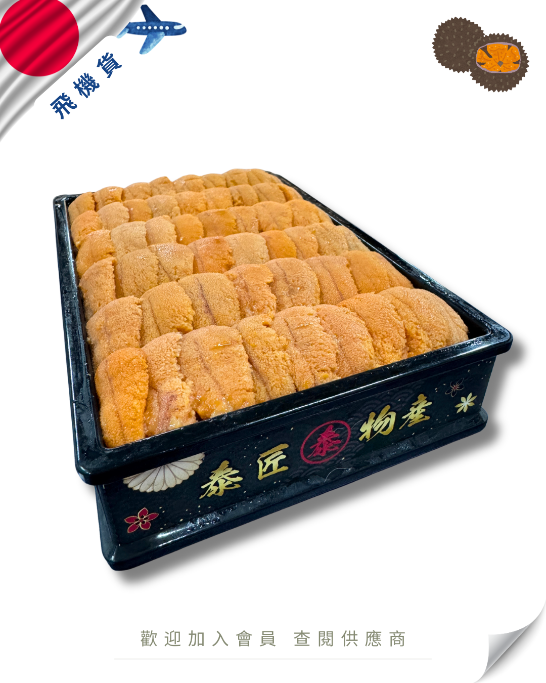 E101 - 日本 泰匠物產 艶然 馬糞海膽 250g (花箱)
