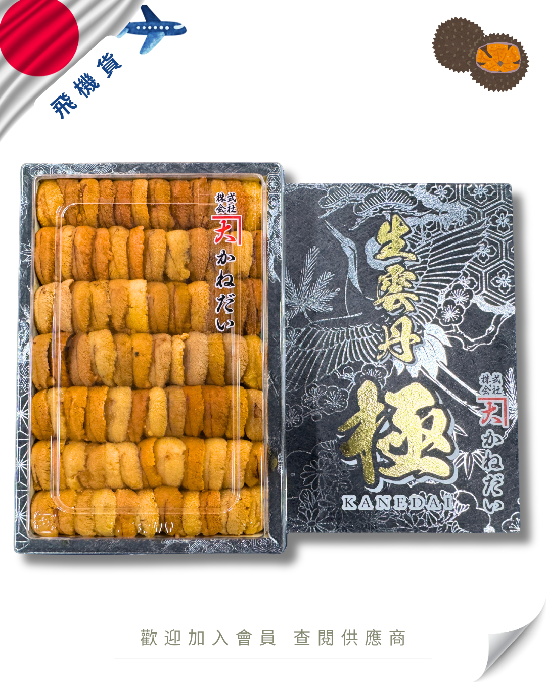 E101 - 日本 かねだい 馬糞海膽 250g (花箱)