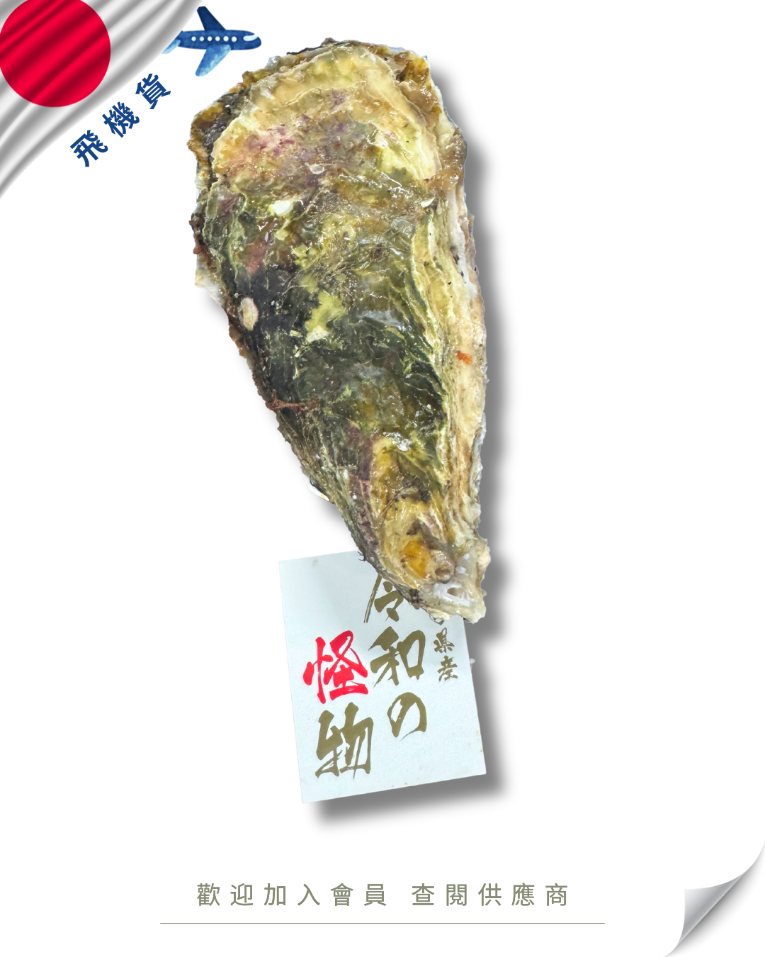 E101 - 日本 岩手縣 令和の怪物牡蠣 6kg /箱