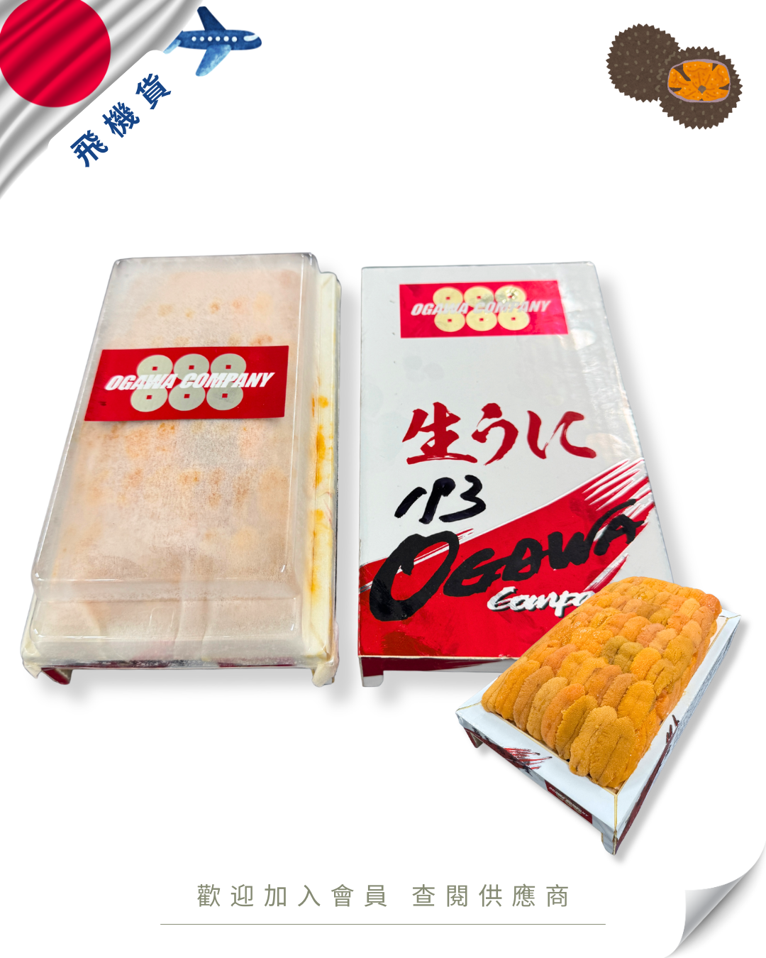 E101 - 日本 カンパニー 888 馬糞海膽 300g (下駄板)