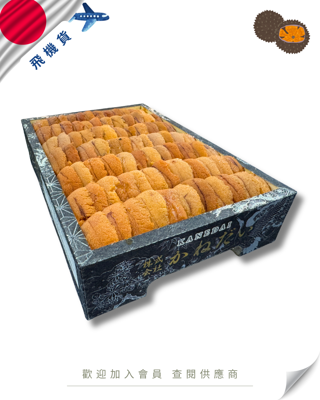 E101 - 日本 かねだい 馬糞海膽 250g (花箱)