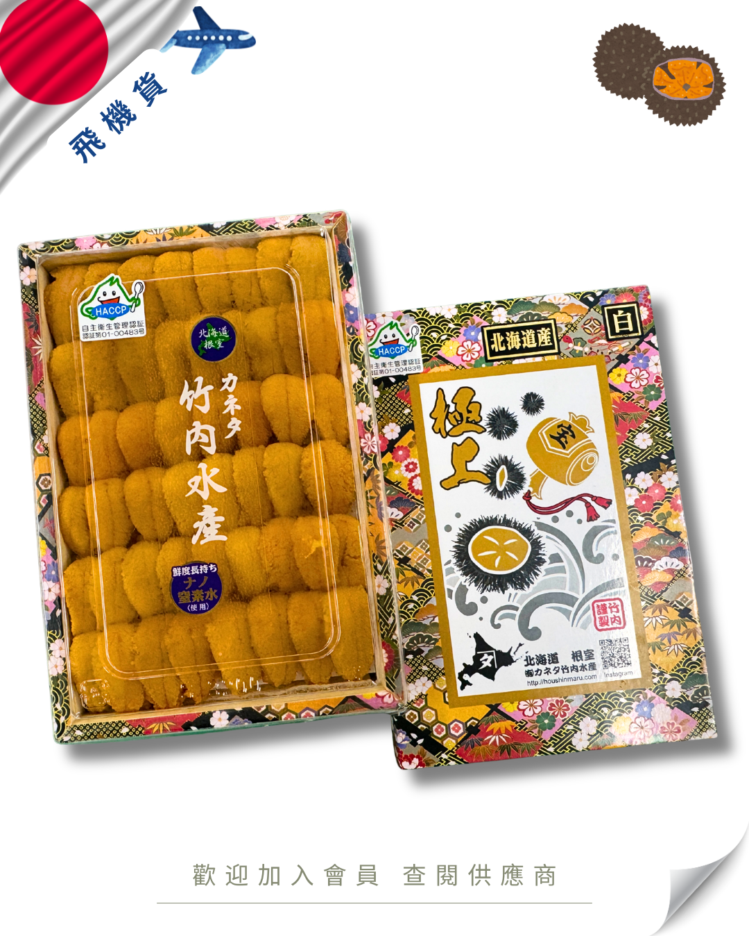 E101 - 日本 竹內水產 紫海膽 / 白海膽 250g (花箱)