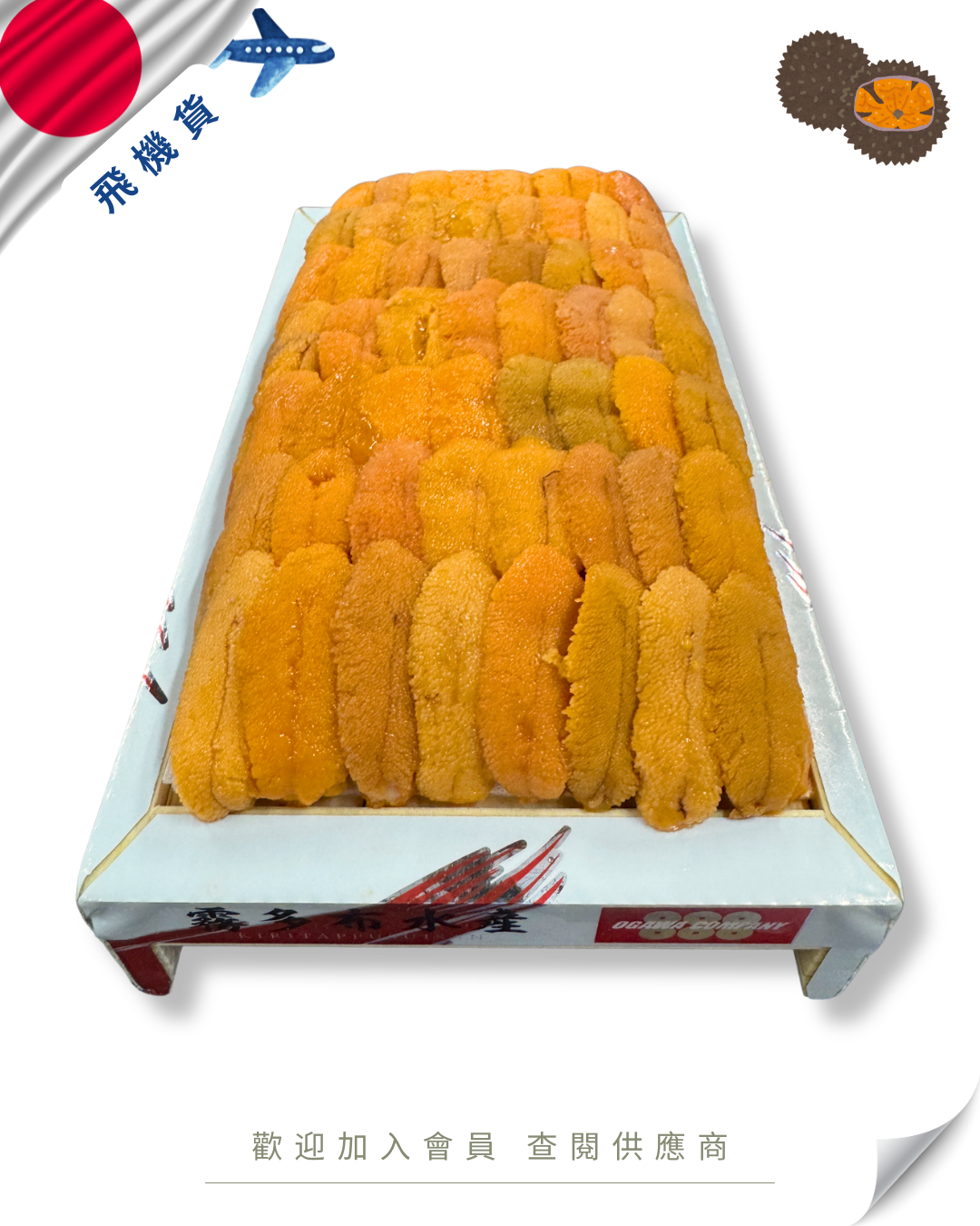 E101 - 日本 カンパニー 888 馬糞海膽 300g (下駄板)