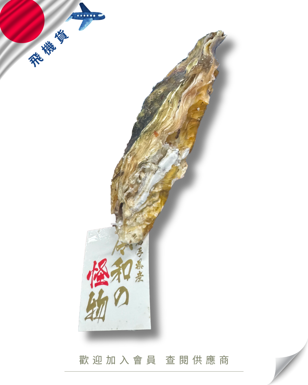 E101 - 日本 岩手縣 令和の怪物牡蠣 6kg /箱