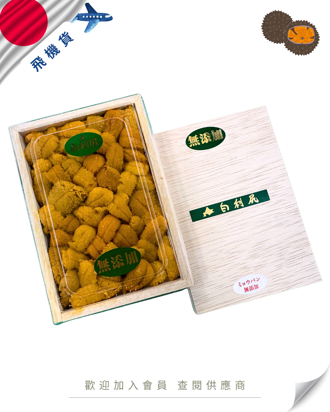 E101 - 日本 市川 白利尻 紫海膽 / 白海膽 150g