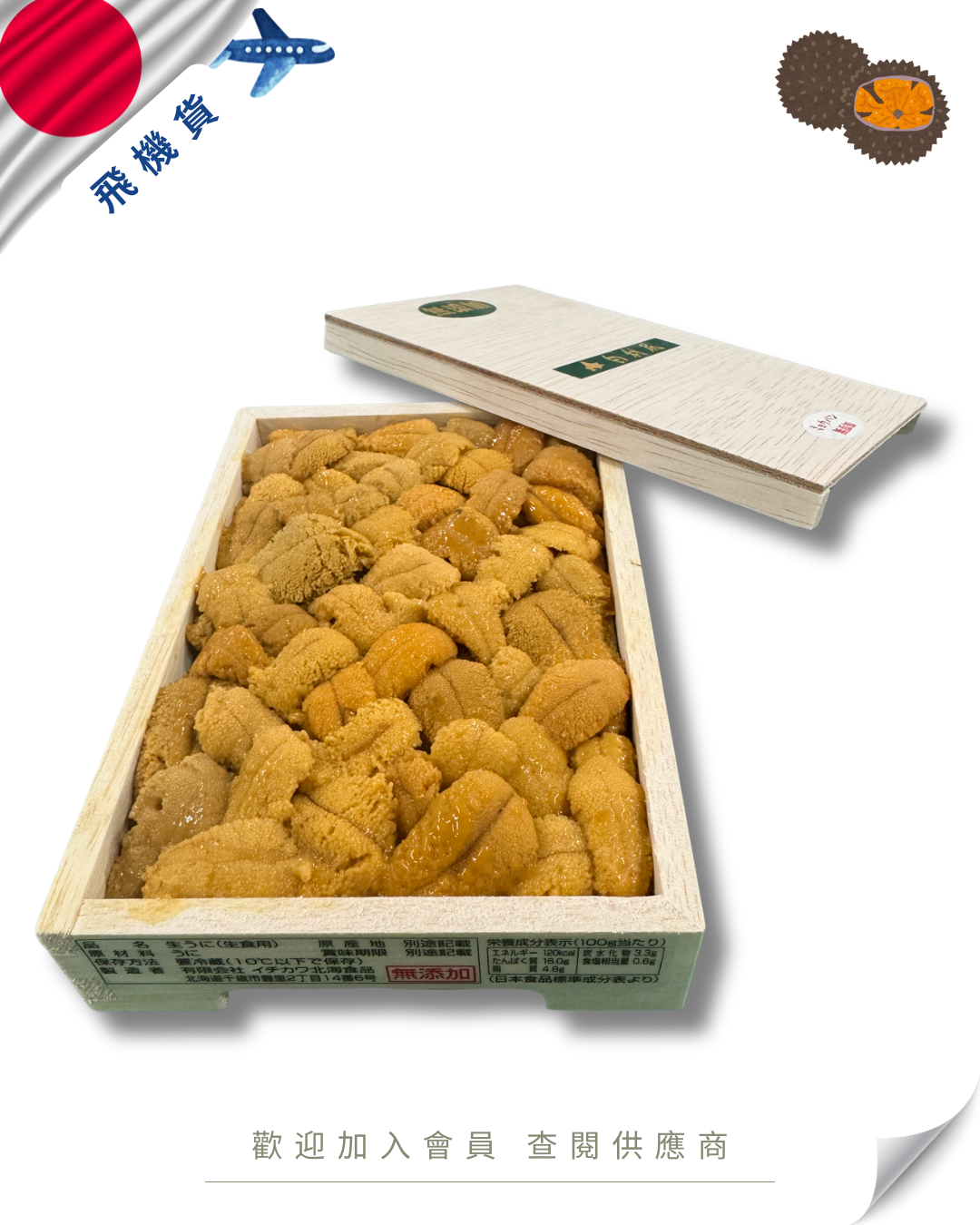 E101 - 日本 市川 白利尻 紫海膽 / 白海膽 150g