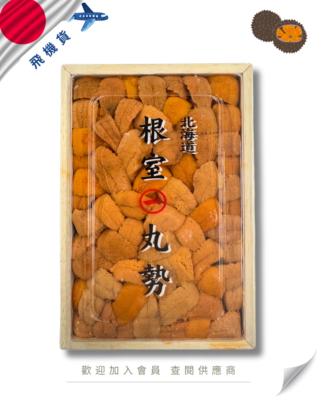 E101 - 日本 丸一 馬糞海膽 亂排 250g
