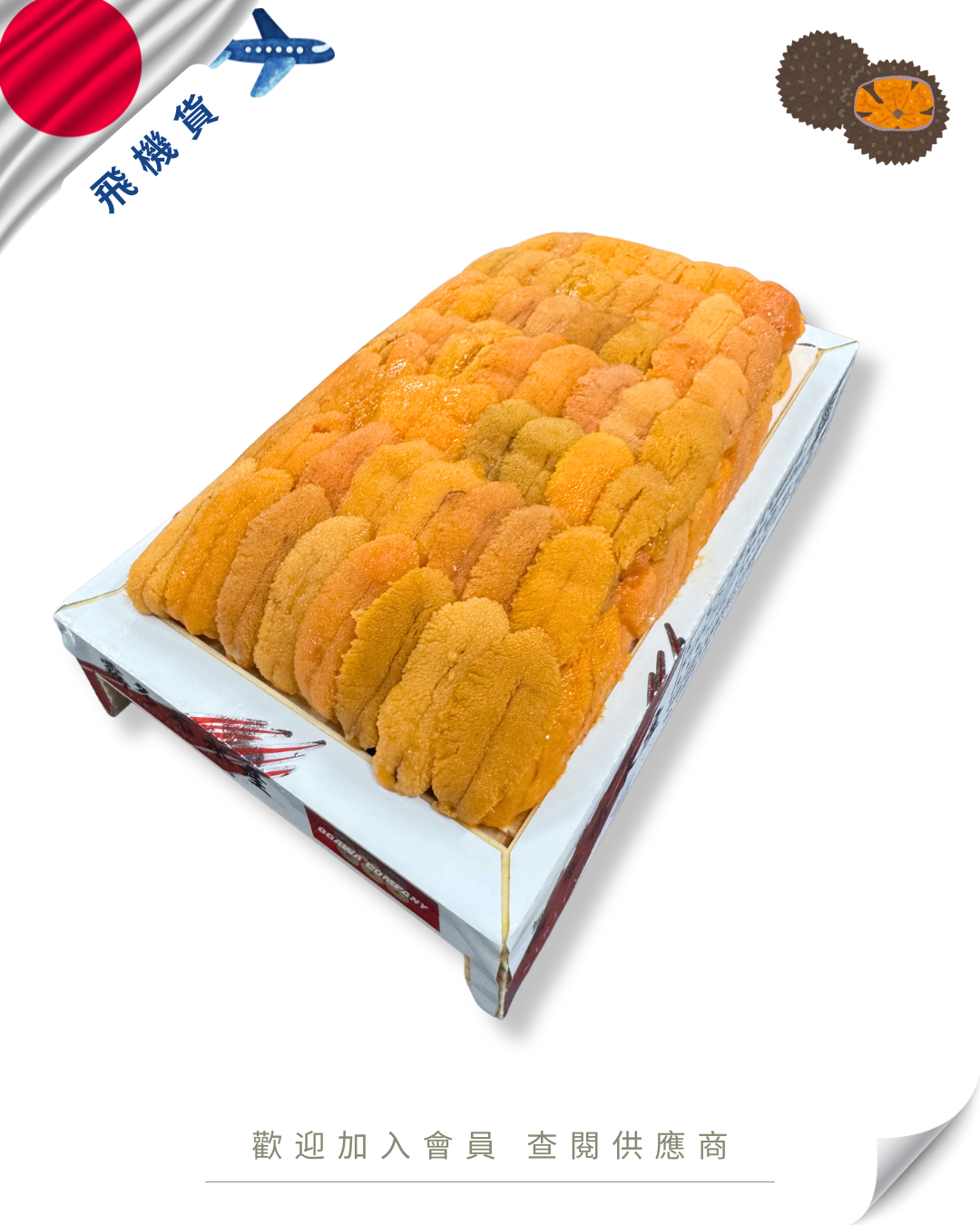 E101 - 日本 カンパニー 888 馬糞海膽 300g (下駄板)
