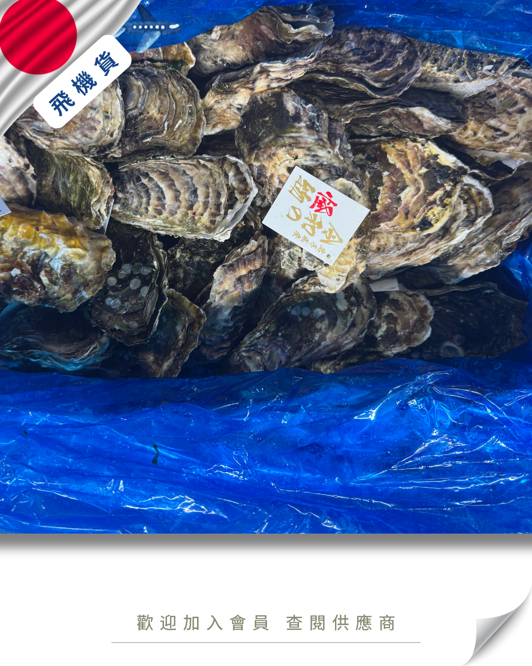 E101 - 日本 岩手縣 令和の怪物牡蠣 6kg /箱