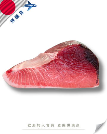 Z101 - 日本 吞拿魚 天然腹中 (二番位) 天然本マグロ腹中 6kg up