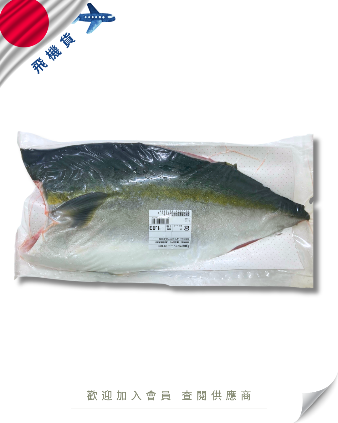 E101 - 日本 油甘魚柳 (半邊連皮) ハマチフィレ 約2kg
