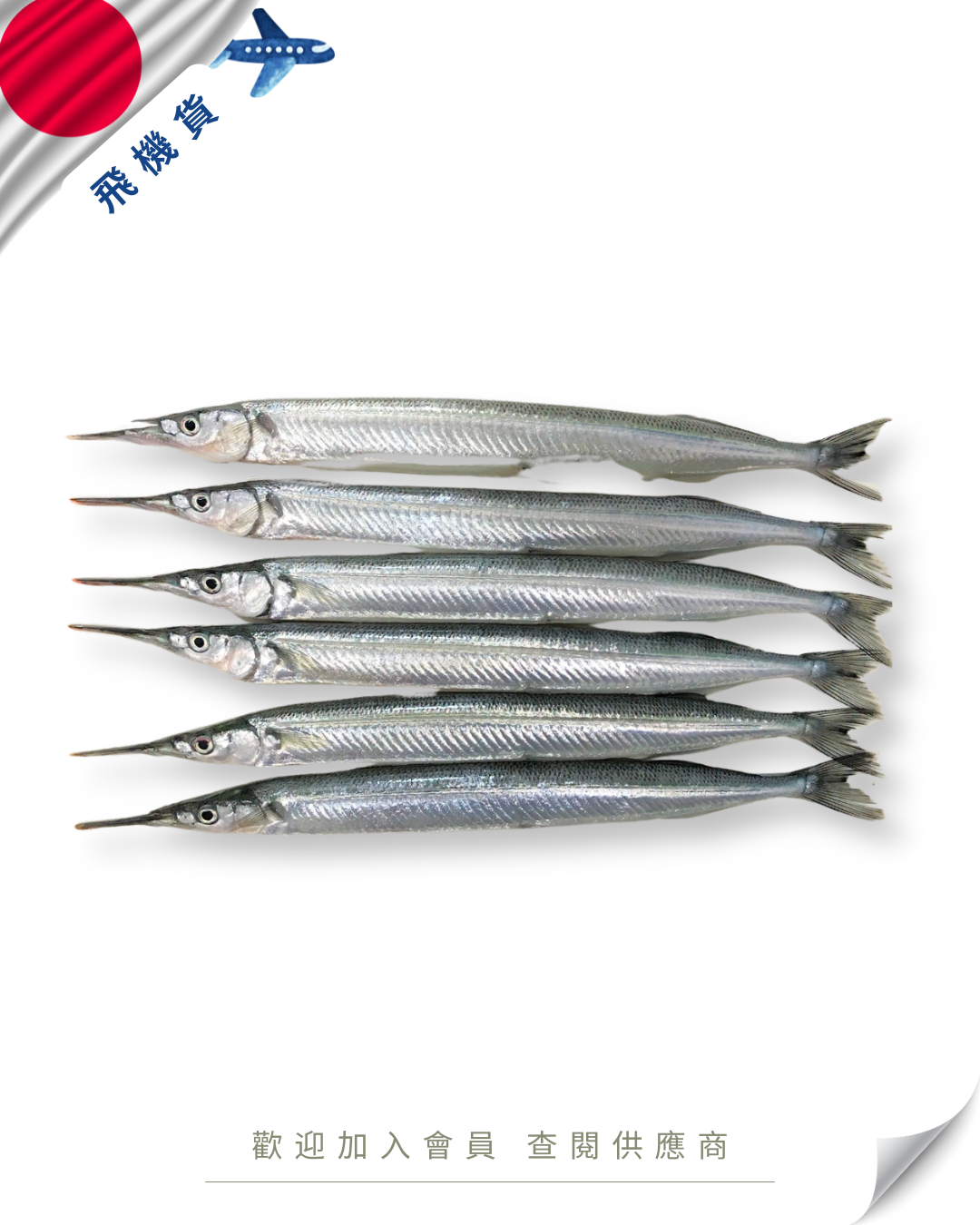 E101 - 日本 針魚 サヨリ 80-100g