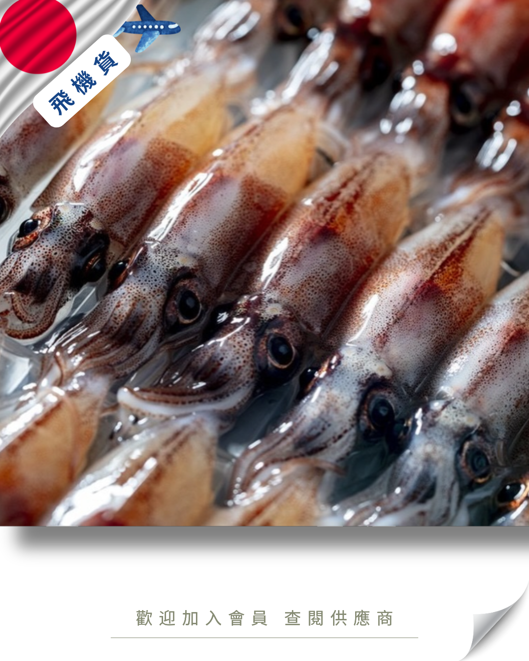 E101 - 日本 生-螢光魷魚 生ホタルイカ (富山) 21尾入