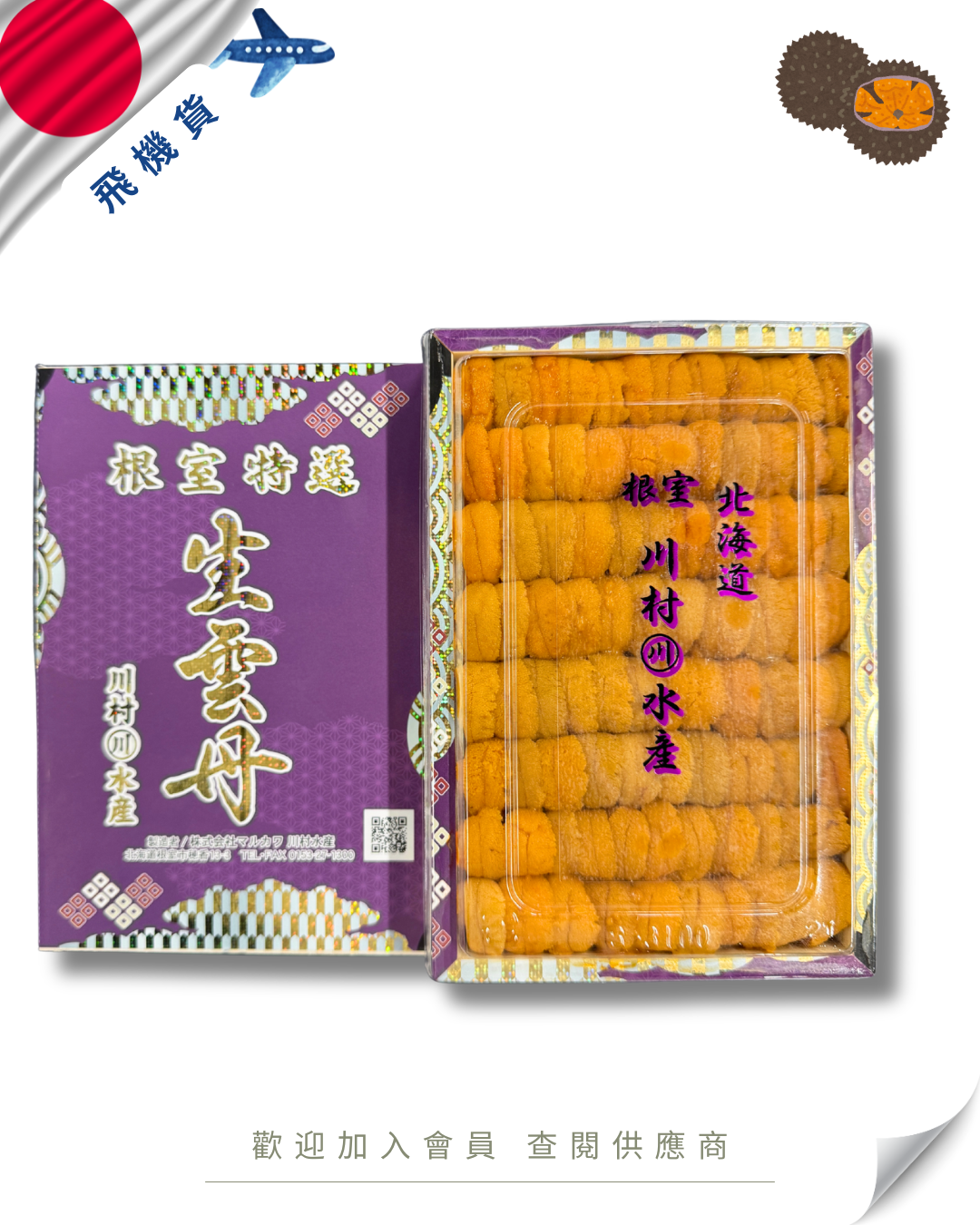 E101 - 日本 川村 ASP 馬糞海膽 250g (花箱)