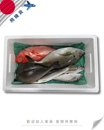 N102 - 日本 鮮魚魚箱 セット 4kg