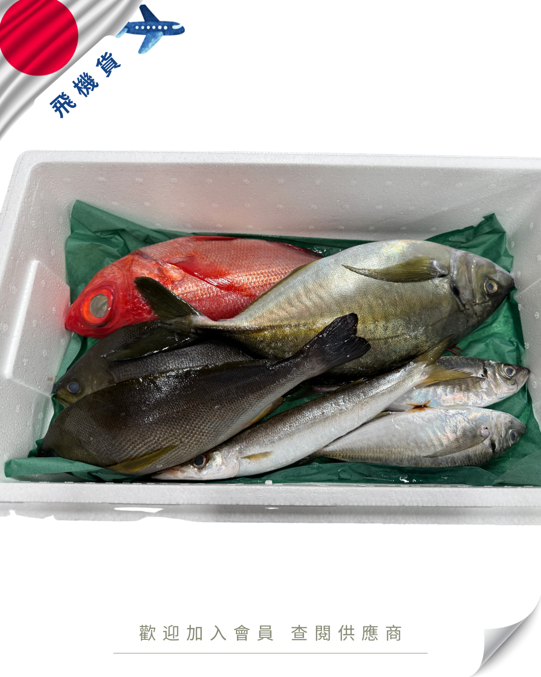 N102 - 日本 鮮魚魚箱 セット 4kg