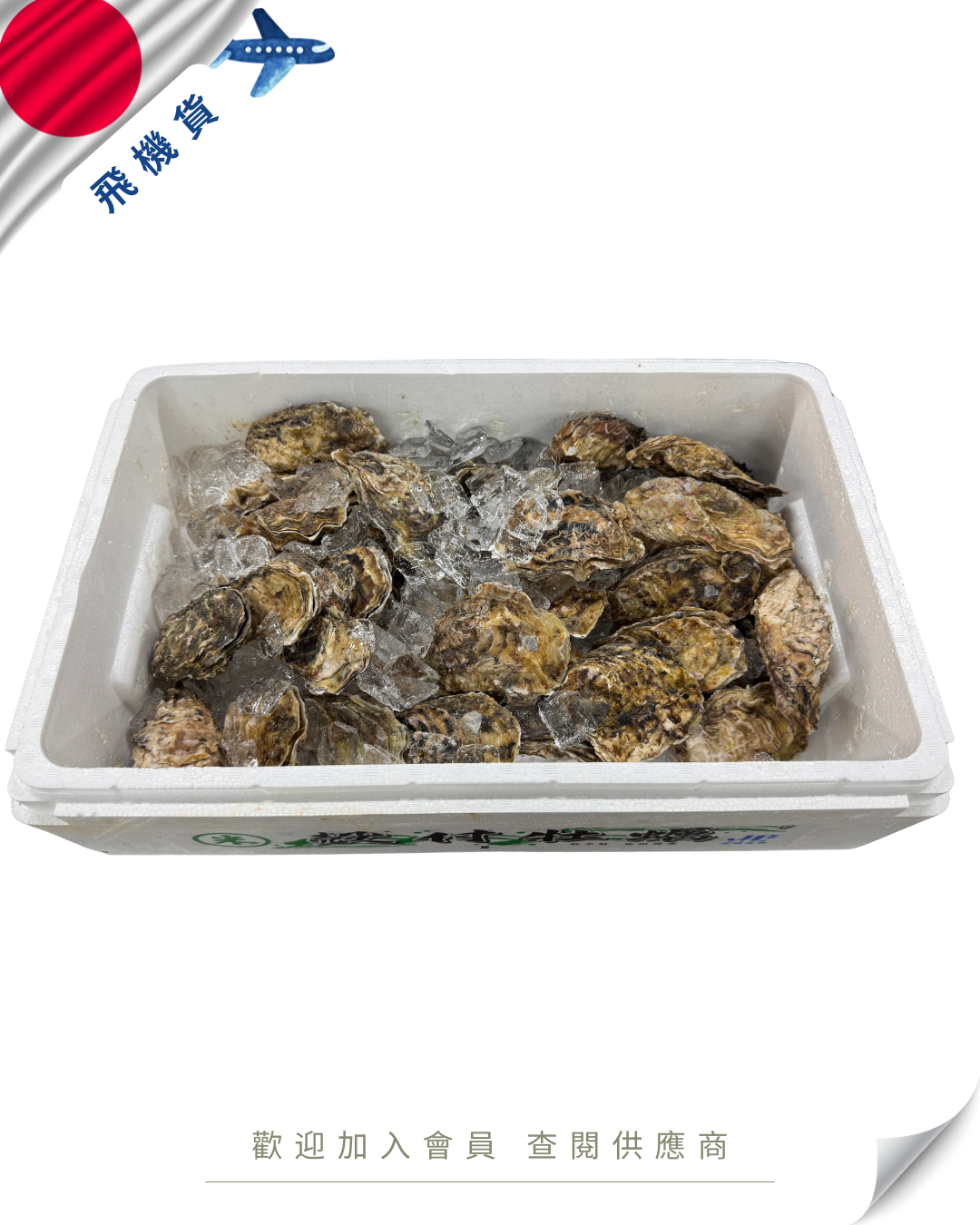 E101 - 日本 岩手 米崎蠔 米崎殻付き真牡蠣 120-150g (4KG /原箱)