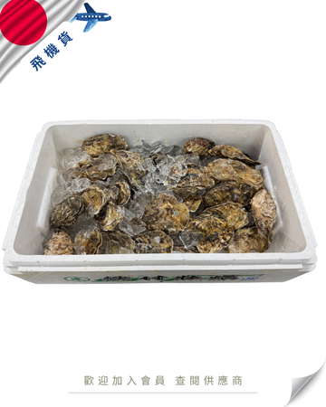 E101 - 日本 岩手 米崎蠔 米崎殻付き真牡蠣 120-150g (4KG /原箱)
