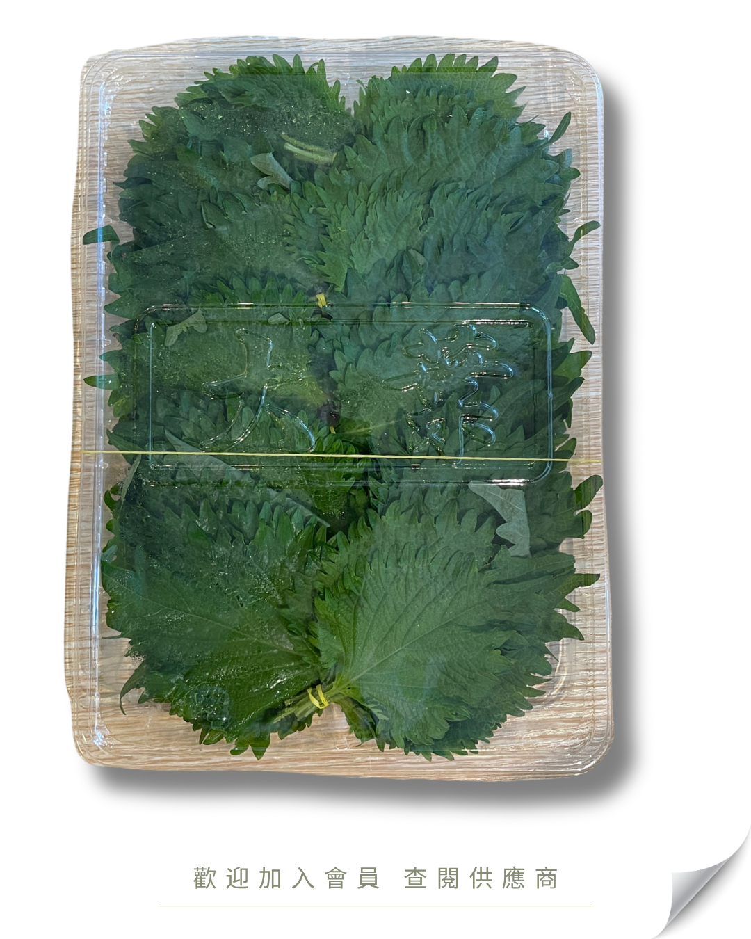 B103 - 紫蘇葉 / 大葉