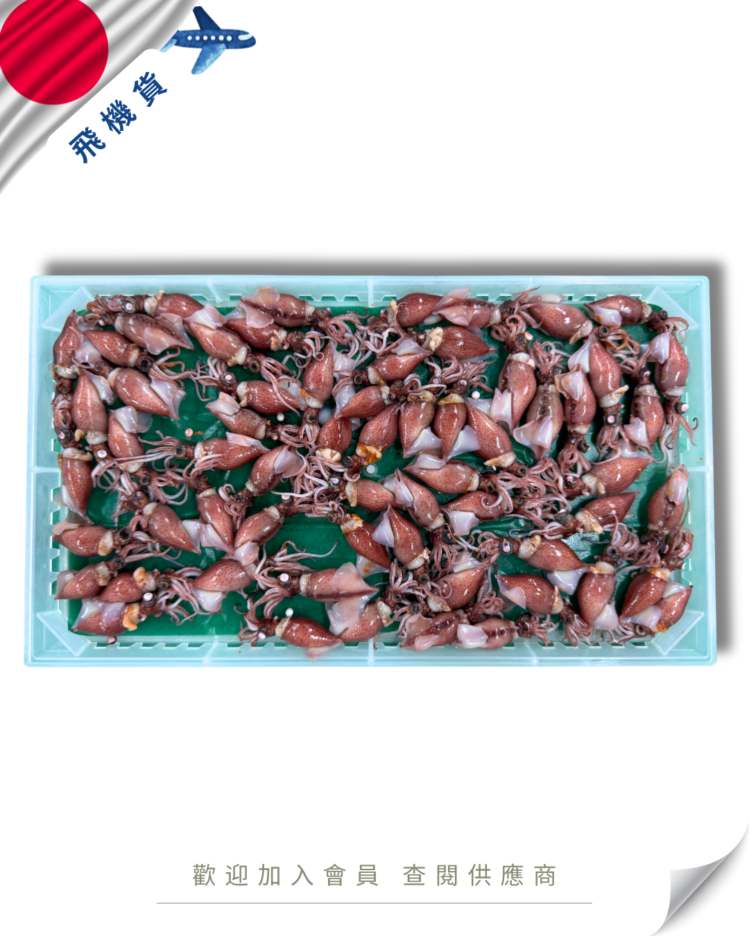 E101 - 日本 兵庫/富山 (熟) 螢光魷魚 ボイルホタルイカ 300g/350g
