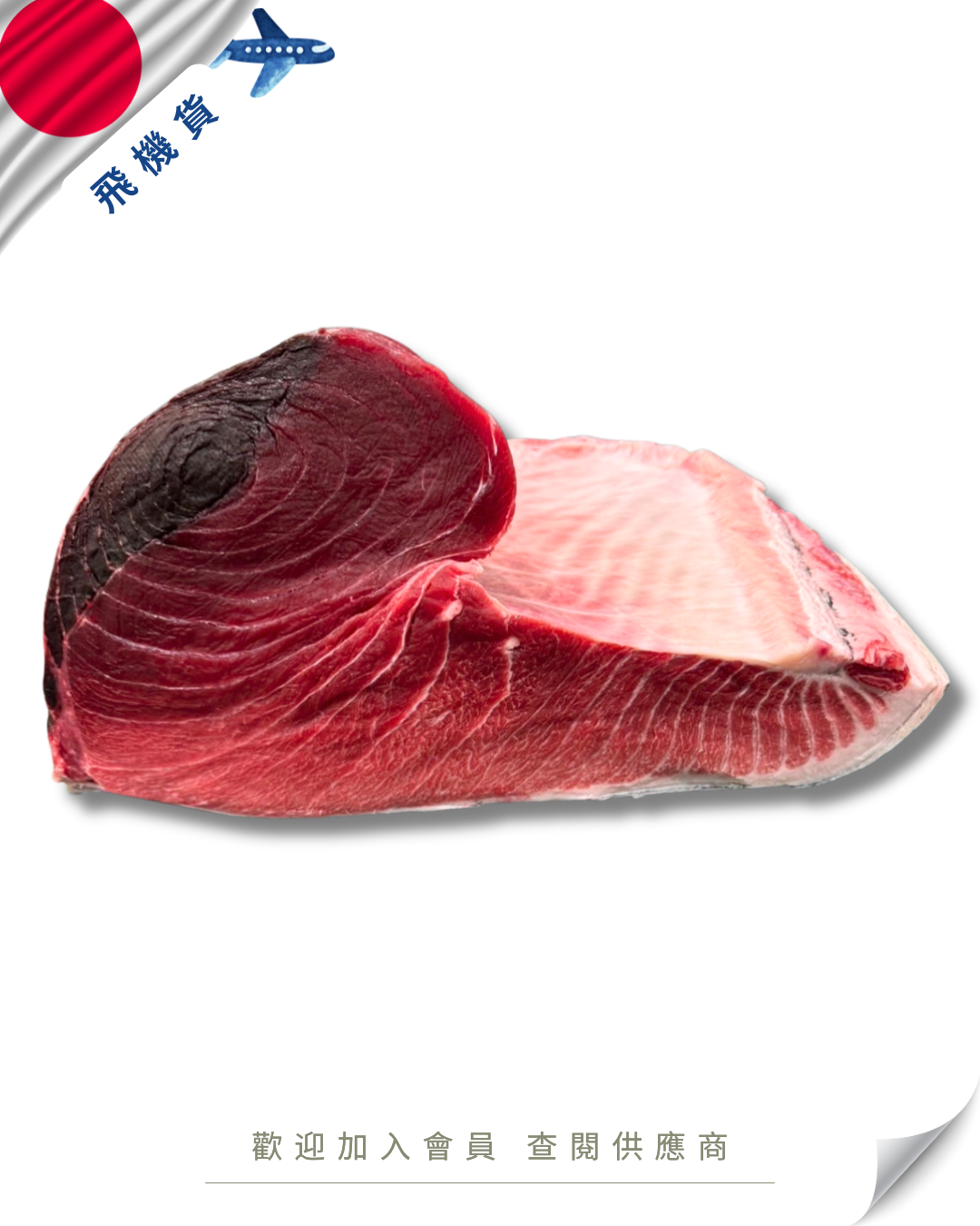 E101 - 日本 吞拿魚 天然腹上 (一番位) 天然本マグロ腹上 6kg up