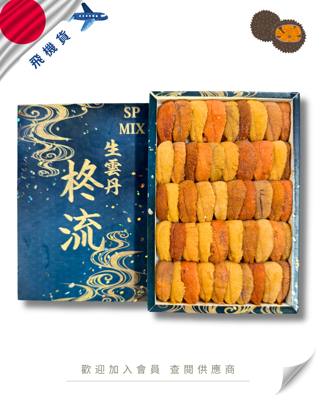 E101 - 日本 柊流 馬糞海膽 250g (花箱)