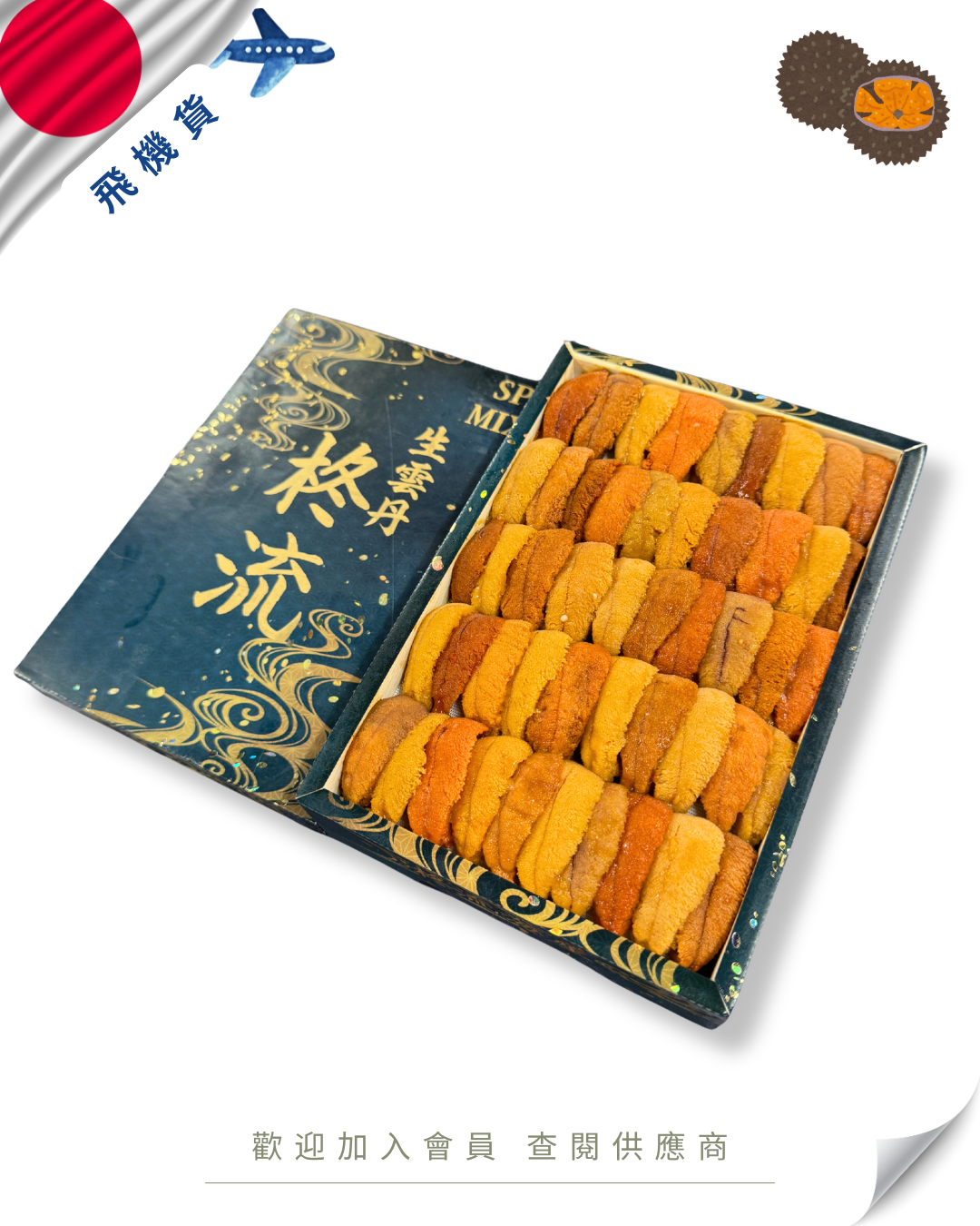 E101 - 日本 柊流 馬糞海膽 250g (花箱)
