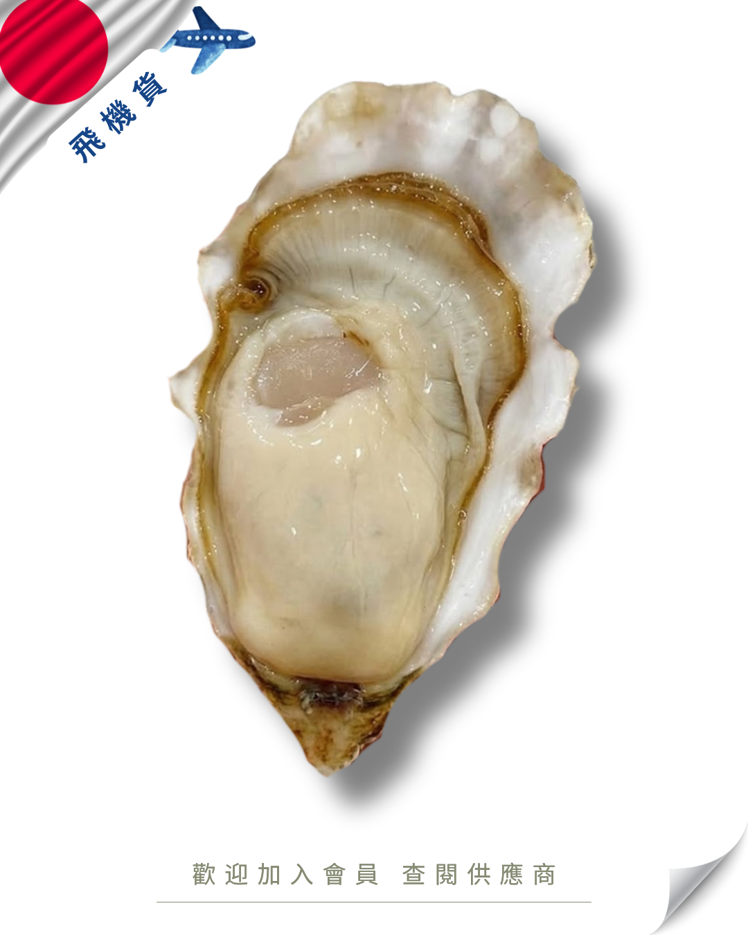 E101 - 日本 長崎 華漣 小長井牡蠣 60-80g 20入