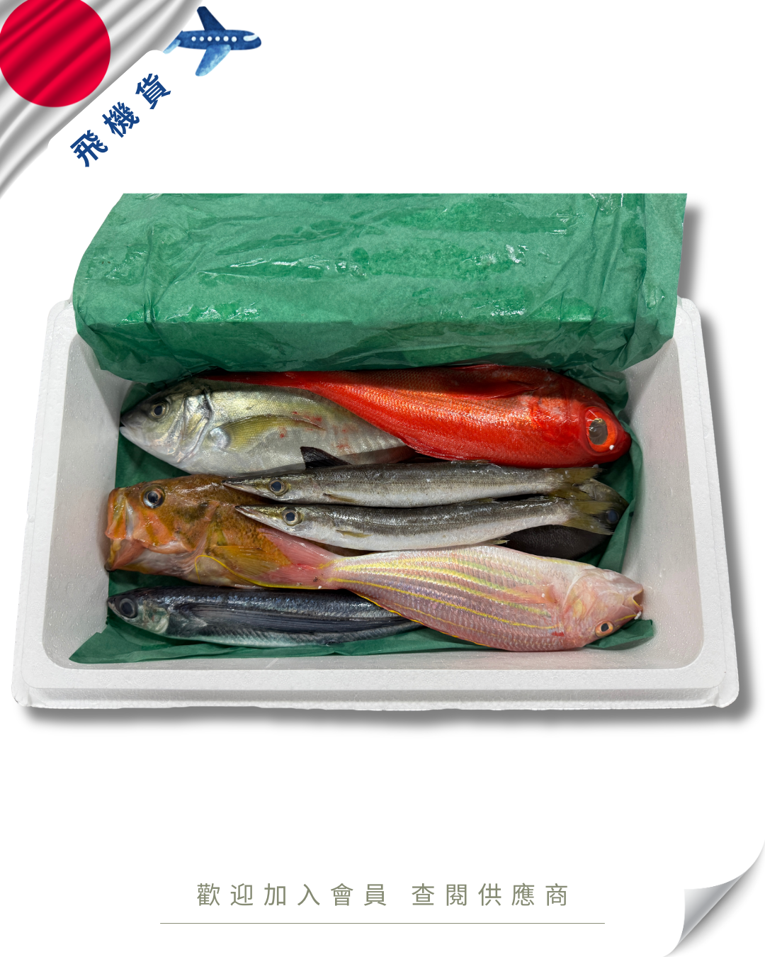 E101 - 日本 鮮魚魚箱 鮮魚セット 4kg / 7kg