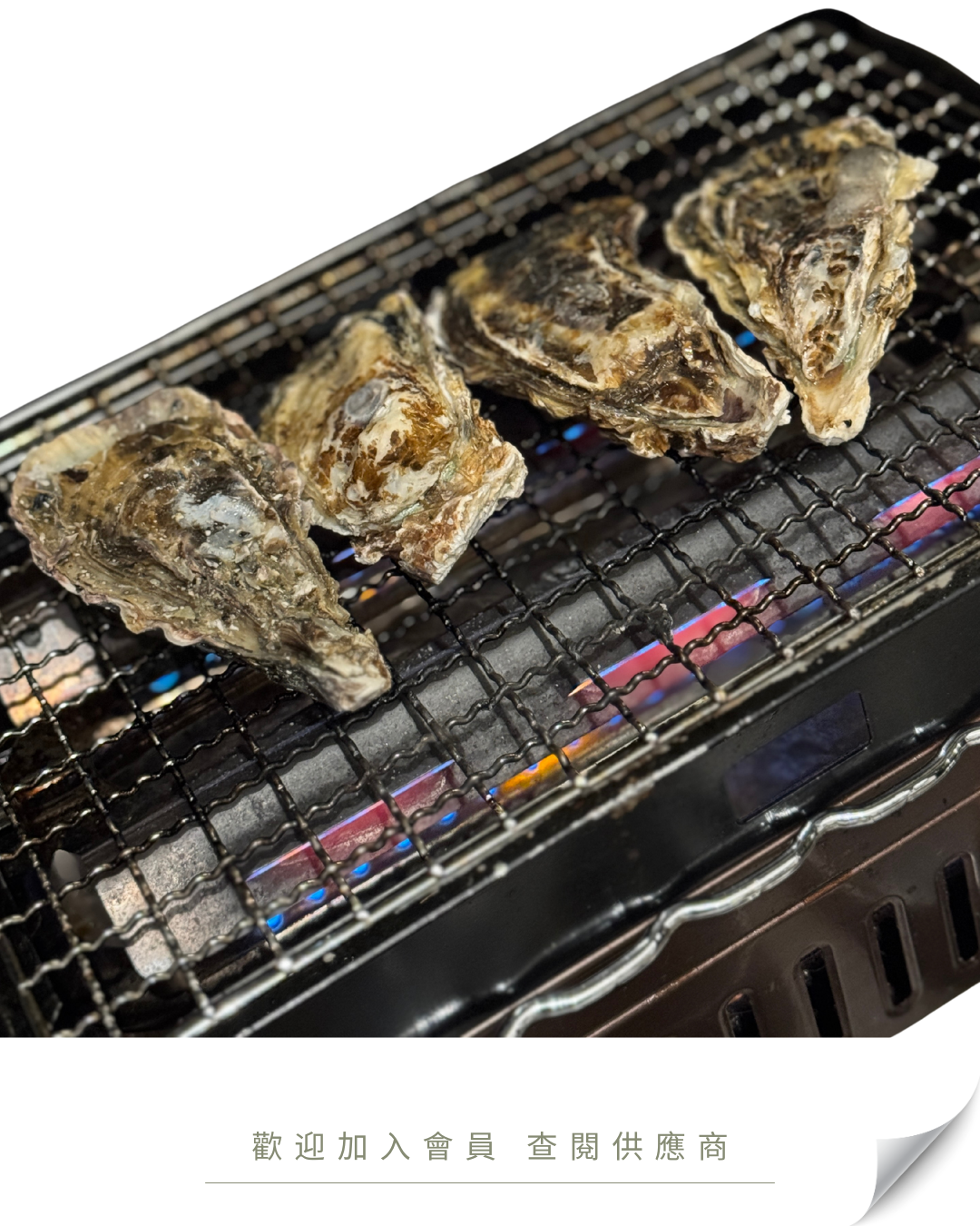 E101 - 日本 兵庫縣 室津 急凍蠔 (生食用) 5kg / 10kg