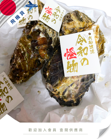 E101 - 日本 岩手縣 令和の怪物牡蠣 6kg /箱