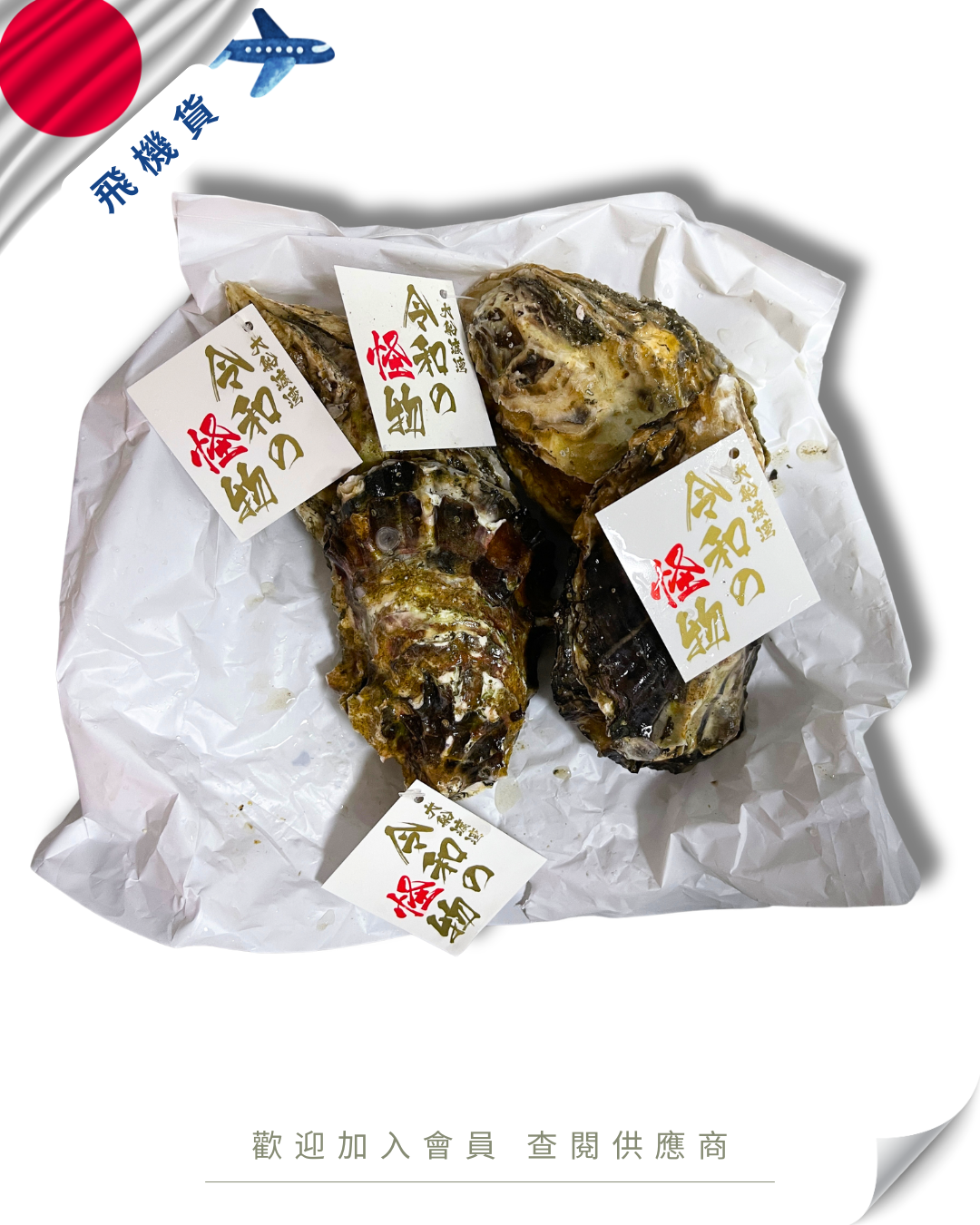 E101 - 日本 岩手縣 令和の怪物牡蠣 6kg /箱