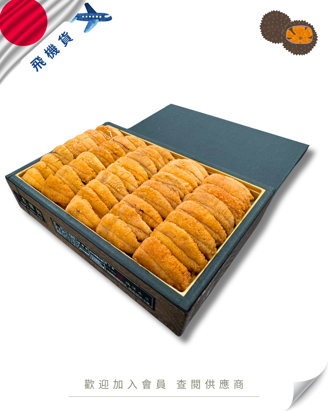 E101 - 日本 鷗洋水產 大極上 馬糞海膽 250g (禮盒)