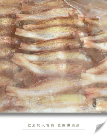 W106 - 紅衫魚 (三去 全清) 10kg /箱