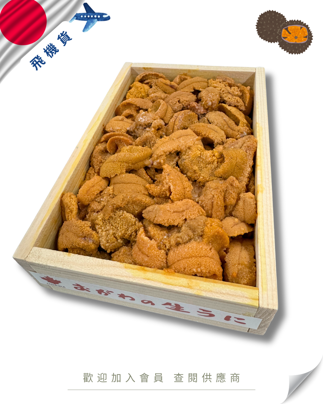 E101 - 日本 小川商店 馬糞海膽 亂 250g