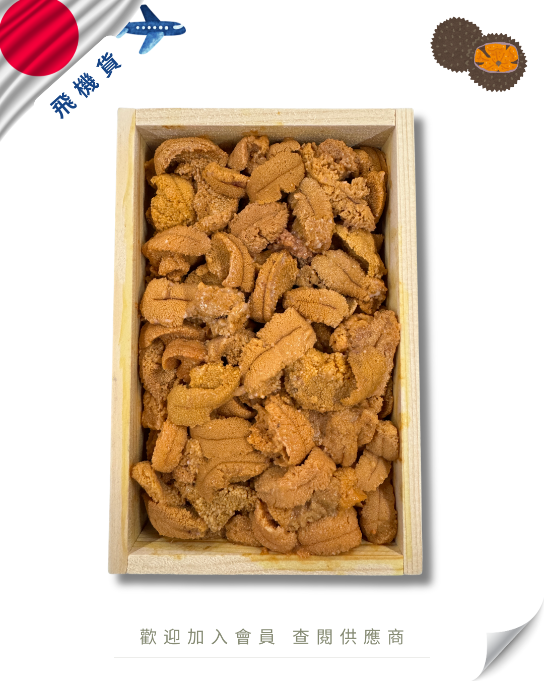 E101 - 日本 小川商店 馬糞海膽 亂 250g