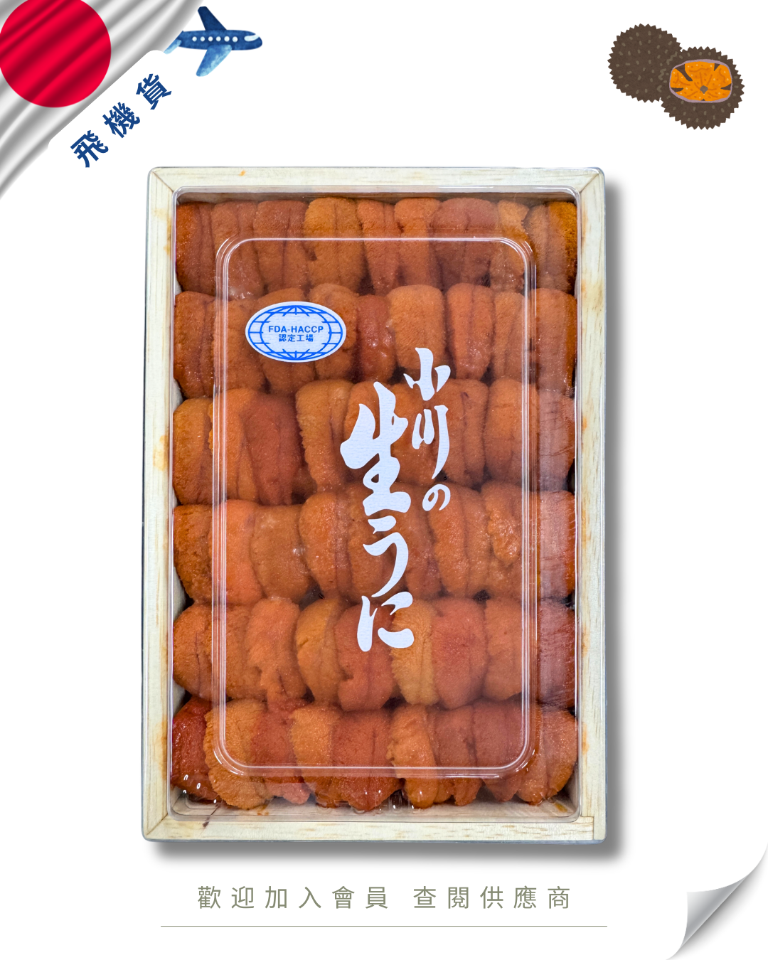 E101 - 日本 小川商店 馬糞海膽 250g