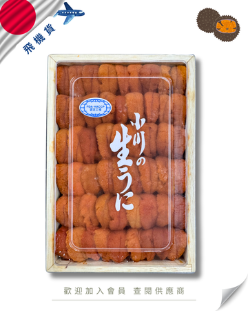 E101 - 日本 小川商店 馬糞海膽 250g