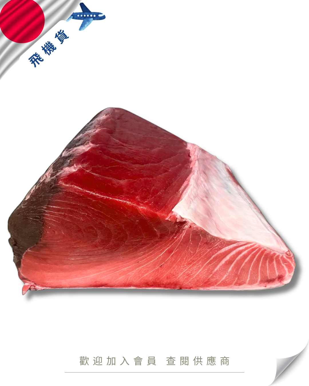 E101 - 日本 吞拿魚 養殖腹中 (二番位) 本マグロ腹中 4kg up