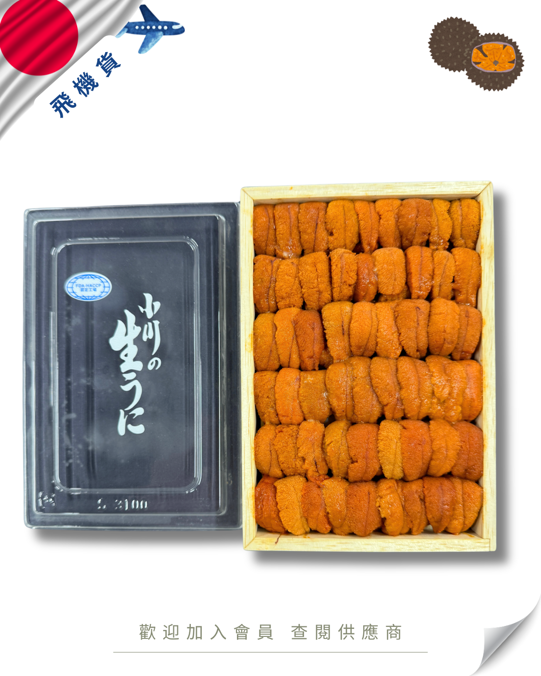E101 - 日本 小川商店 馬糞海膽 250g
