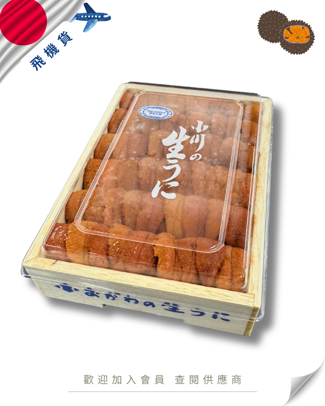 E101 - 日本 小川商店 馬糞海膽 250g