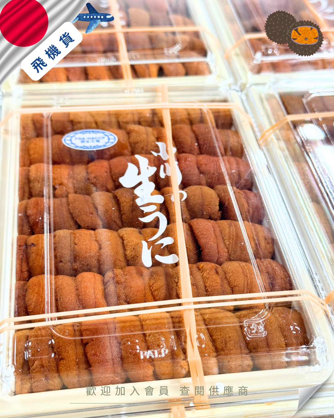 E101 - 日本 小川商店 馬糞海膽 250g