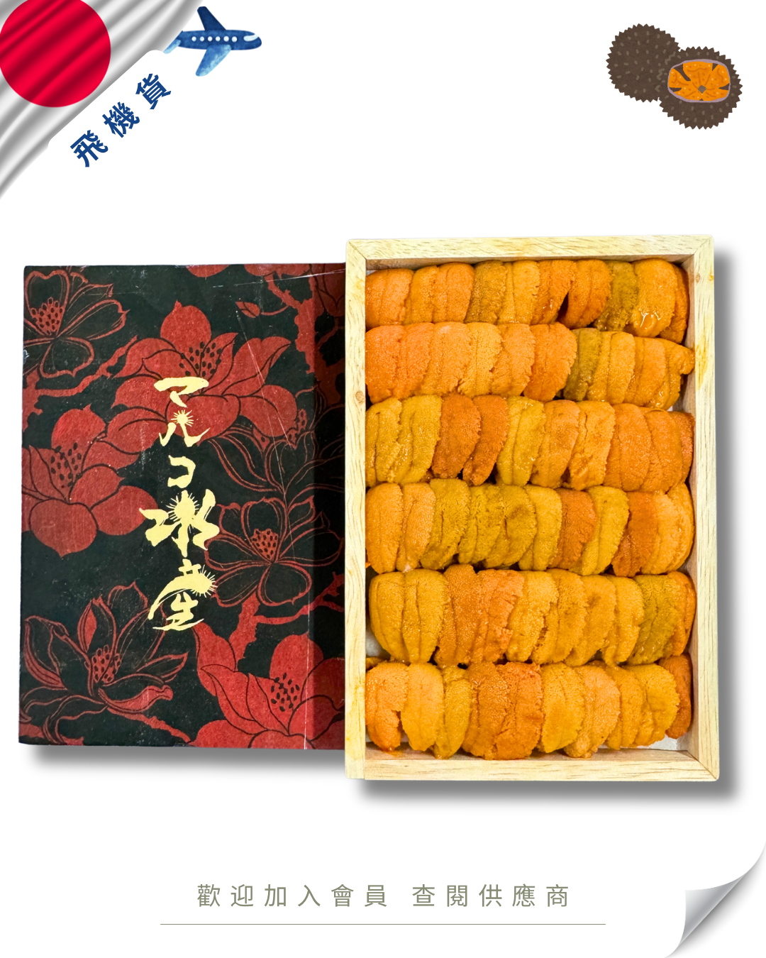 E101 - 日本 マルコ 馬糞海膽 250g (花箱)