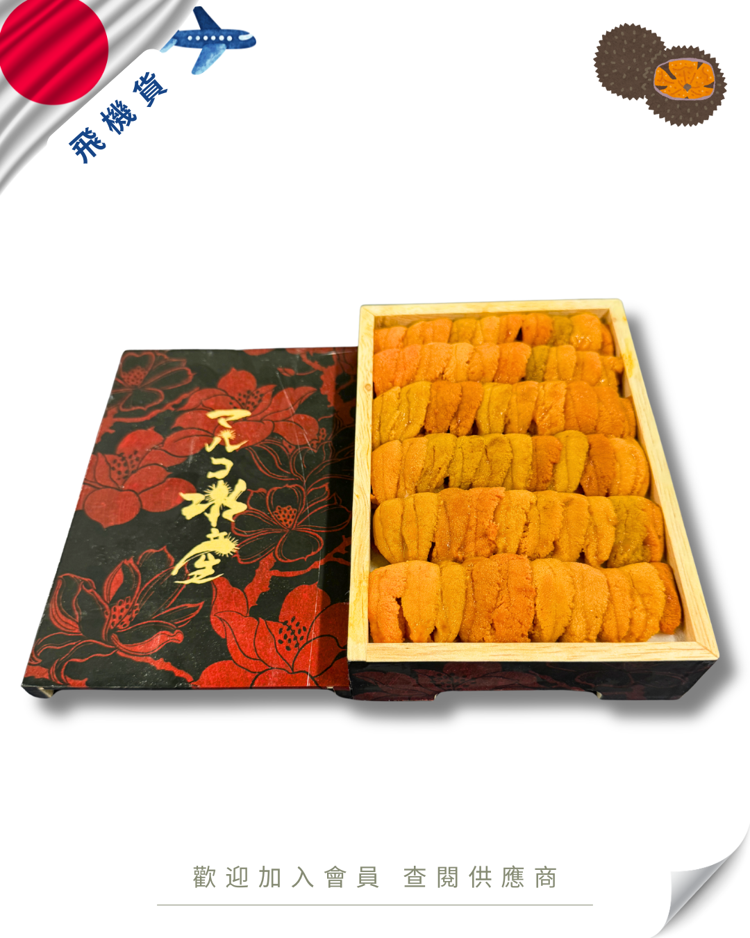 E101 - 日本 マルコ 馬糞海膽 250g (花箱)