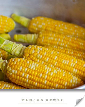 B103 - Millet